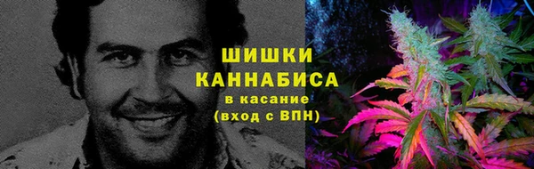 a pvp Абаза